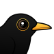 Blackbird