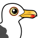 Lesser Black-backed Gull