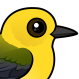 Prothonotary Warbler