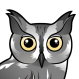 Western Screech-Owl