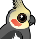 Cockatiel