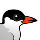 Common Tern