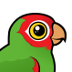 Red-masked Parakeet