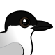 Gull-billed Tern