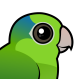 Pacific Parrotlet
