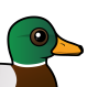 Mallard