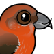 Red Crossbill