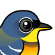 Northern Parula