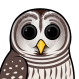 Barred Owl
