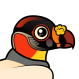 King Vulture