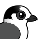 Canada Jay