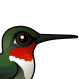Ruby-throated Hummingbird