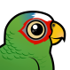 White-fronted Parrot