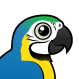 Blue-and-yellow Macaw