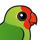 Red-headed Lovebird