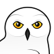 Snowy Owl