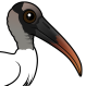 Wood Stork