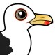 Great Black-backed Gull