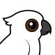 Umbrella Cockatoo
