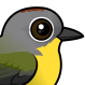 Nashville Warbler