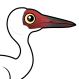 Siberian Crane