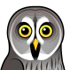 Great Grey Owl