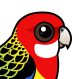 Eastern Rosella