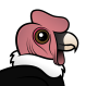 Andean Condor