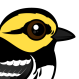Golden-cheeked Warbler