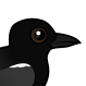 Black Tern