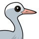 Blue Crane