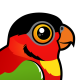 Yellow-bibbed Lory