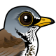 Fieldfare
