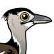 Kori Bustard