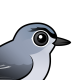Blue-gray Gnatcatcher