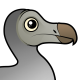 Dodo