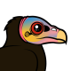 Lesser Yellow-headed Vulture