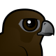 Black Falcon
