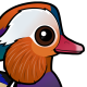 Mandarin Duck