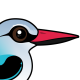 Woodland Kingfisher