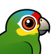 Red-lored Parrot