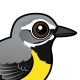 Grey Wagtail