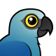 Spix's Macaw
