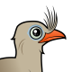 Red-legged Seriema
