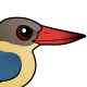 Stork-billed Kingfisher
