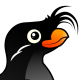 Crested Auklet