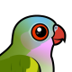 Princess Parrot