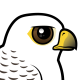 Gyrfalcon