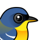 Tropical Parula