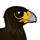 Striated Caracara